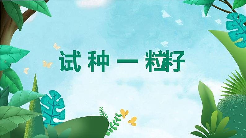 第4课 试种一粒籽 课件（共20张PPT）第1页