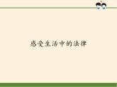 2.4 感受生活中的法律（课件）- 五年级道德与法治下册部编版（五四制）
