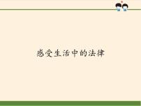 小学政治 (道德与法治)人教部编版 (五四制)五年级下册4 感受生活中的法律教学演示ppt课件