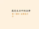 2.4 感受生活中的法律（课件）- 五年级道德与法治下册部编版（五四制）