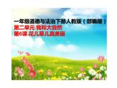 人教版（部编版五四制）小学道德与法治一年级下册  6.花儿草儿真美丽  课件