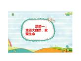 人教版（部编版五四制）小学道德与法治一年级下册  6.花儿草儿真美丽  课件