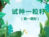 人教版（部編版五四制）小學(xué)道德與法治二年級下冊  4、試種一粒籽  課件