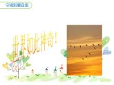 人教版（部编版五四制）小学道德与法治三年级下册  9.生活离不开规则    课件