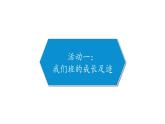 我们班四岁了课件PPT
