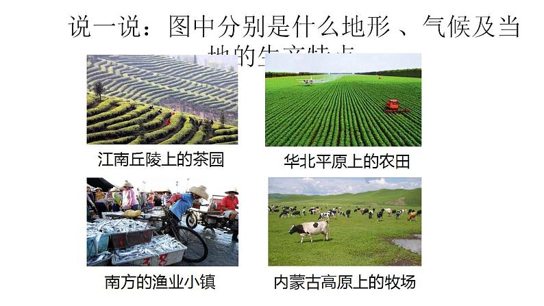 第六课第三课时我们神圣的国土第4页