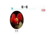 五年级【道德与法治(统编版)】主动拒绝烟酒与毒品(第2课时)-2课件