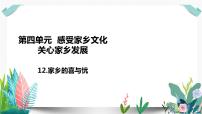 小学政治 (道德与法治)人教部编版四年级下册第四单元 感受家乡文化 关心家乡发展12 家乡的喜与忧教学ppt课件