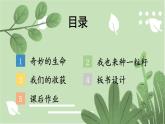 部編版道德與法制二年級下冊4 試種二粒籽課件+視頻素材