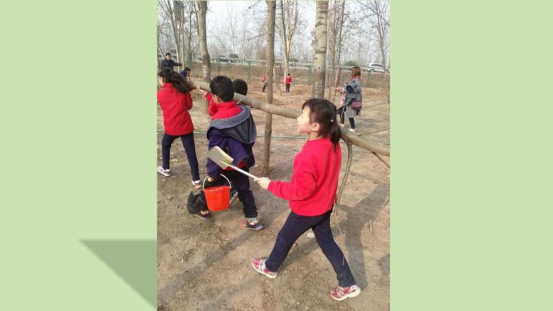 二年级下册道德与法制12《我的环保小搭档》2个课时课件 素材05