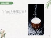部编版 道德与法治 四年级下册 7 我们的衣食之源（课件）