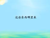 部编版 道德与法治 四年级下册 8 这些东西哪里来（课件）