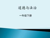 小学政治 (道德与法治)人教部编版一年级下册6 花儿草儿真美丽图文ppt课件