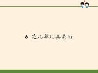 政治 (道德与法治)一年级下册6 花儿草儿真美丽说课ppt课件