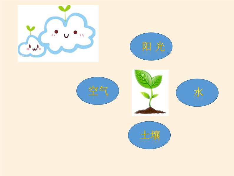 道德与法治一年级下册 8 大自然，谢谢您(4)（课件）第3页