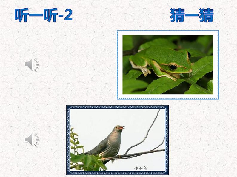 道德与法治一年级下册 7 《可爱的动物》课件PPT第3页