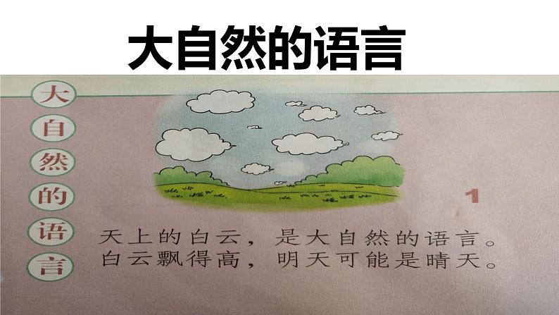 道德与法治一年级下册 8  大自然谢谢您（课件）02