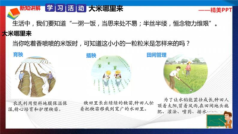 统编版 道德与法治 四年级下册 7.1白白的大米哪里来  课件第3页