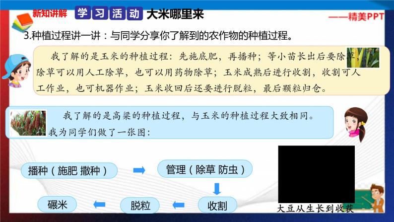 统编版 道德与法治 四年级下册 7.1白白的大米哪里来 课件+教案+试题+素材08