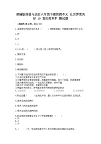 人教部编版六年级下册第四单元 让世界更美好10 我们爱和平综合训练题