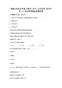 小学政治 (道德与法治)人教部编版五年级下册12 富起来到强起来精品精练