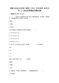 小学政治 (道德与法治)人教部编版五年级下册12 富起来到强起来优秀巩固练习