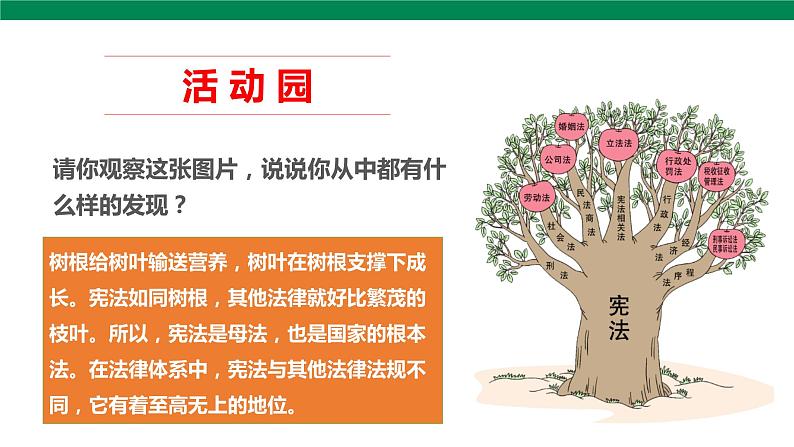 2宪法是根本法  第2课时 课件+音视频素材06
