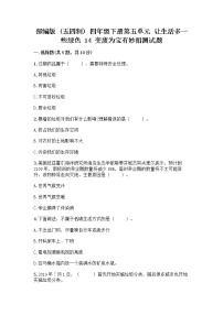小学政治 (道德与法治)人教部编版 (五四制)四年级下册第五单元 让生活多一些绿色14 变废为宝有妙招练习
