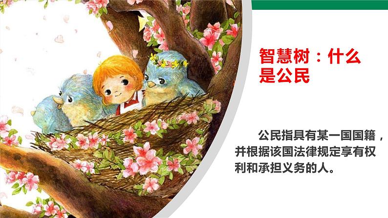 3公民意味着什么 第1课时 课件+视频素材03