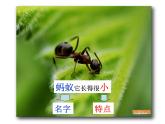 小学道德与法治人教版（部编）一年级下册 4不做“小马虎” 1 课件