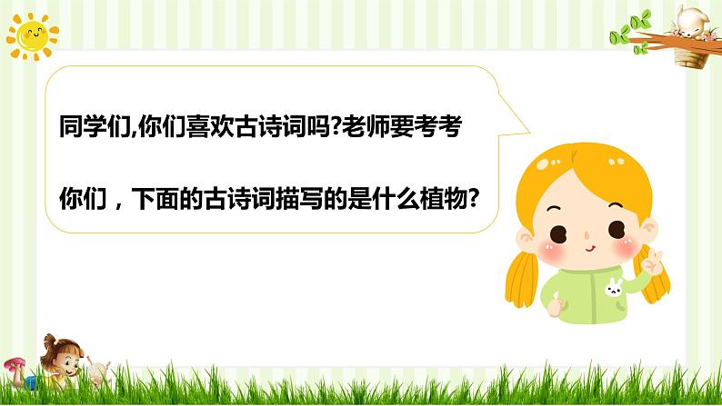 人教部编版一年级下册道德与法治课件-6花儿草儿真美丽（第一课时）第2页