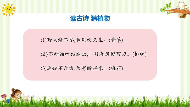 人教部编版一年级下册道德与法治课件-6花儿草儿真美丽（第一课时）第3页