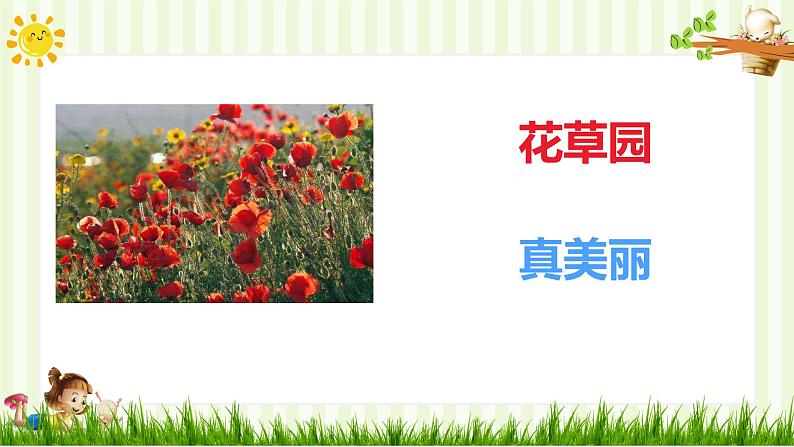 人教部编版一年级下册道德与法治课件-6花儿草儿真美丽（第一课时）第5页