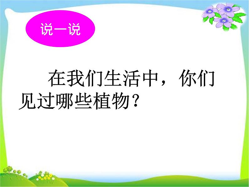 小学道德与法治人教版（部编）一年级下册 6花儿草儿真美丽 2 课件08