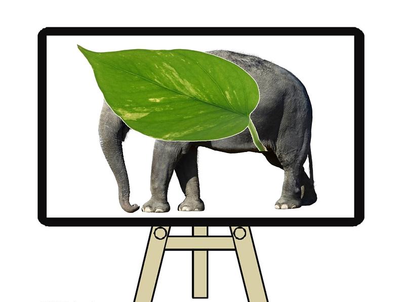 小学道德与法治人教版（部编）一年级下册 7可爱的动物 5 课件08