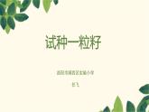 小学道德与法治人教版（部编）二年级下册 4试种一粒籽1 课件