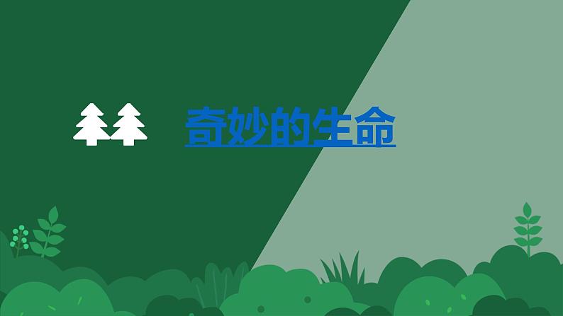 小学道德与法治人教版（部编）二年级下册 4试种一粒籽2 课件第7页