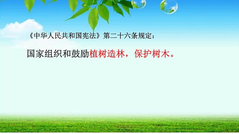 小学道德与法治人教版（部编）二年级下册 10清新空气是个宝2 课件第4页