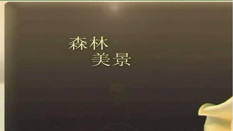 小学道德与法治人教版二年级下册 我是一张纸部优课件第2页