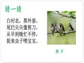 07《可爱的动物》第一课时 课件