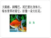 07《可爱的动物》第一课时 课件