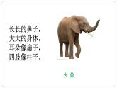 07《可爱的动物》第一课时 课件