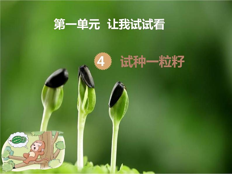 4试种一粒籽 - 副本课件PPT第1页