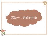 4试种一粒籽 - 副本课件PPT