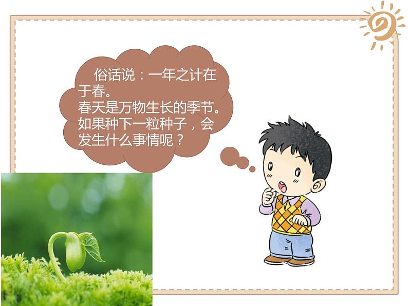 4试种一粒籽 - 副本课件PPT第4页