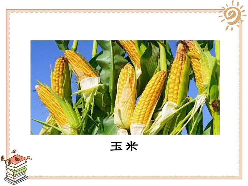 4试种一粒籽 - 副本课件PPT第6页