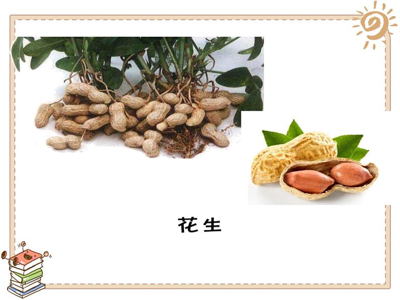 4试种一粒籽 - 副本课件PPT第7页