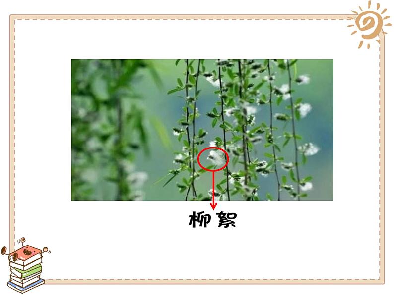 4试种一粒籽 - 副本课件PPT第8页