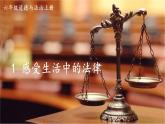 道德与法治六年级上册 1 感受生活中的法律 课件PPT+视频素材