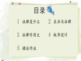 道德与法治六年级上册 1 感受生活中的法律 课件PPT+视频素材